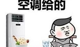 吃瓜群众见人说人话视频,揭秘网络视频中的真实对话