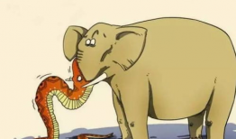 训斥吃瓜群众多管闲事的话,多管闲事还是正义守望者？