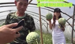 吃瓜群众直播团,揭秘网红幕后生活，带你领略直播界的真实风采