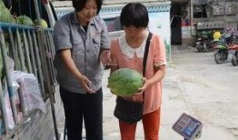 小区吃瓜群众收获,揭秘邻里趣事，共享生活点滴