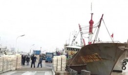 浙岱渔船吃瓜群众,吃瓜群众的海洋生活画卷