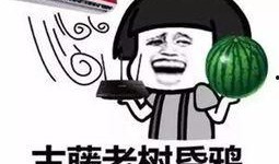 吃瓜群众陈小妹微博号,吃瓜群众的欢乐盛宴