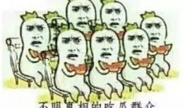 吃瓜群众vs电视栏目,揭秘电视栏目背后的真实故事