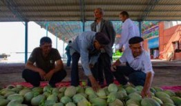 感恩吃瓜的群众,见证时代变迁的民间力量