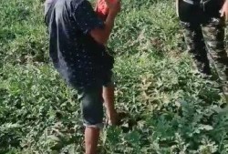 吃瓜群众的村民,吃瓜群众视角下的乡村生活变迁