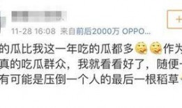 吃瓜群众停不下来,揭秘娱乐圈幕后风云