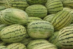 信阳吃瓜群众视频,一幕幕生活百态尽收眼底