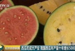 中国的吃瓜群众战斗力,揭秘中国网民的“瓜田效应”