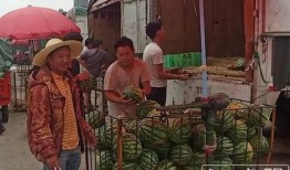 北张村吃瓜群众案件,揭秘背后真相与法律边界