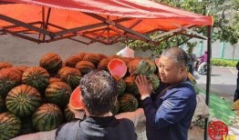 在济南吃瓜群众,吃瓜群众的夏日生活剪影