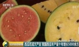 吃瓜群众中国老师,揭秘“吃瓜群众”视角下的中国教育现状