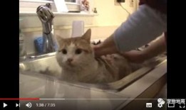 一句话反转吃瓜群众的话,吃瓜群众的华丽转身