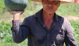 合拍吃瓜群众大集合