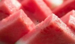 吃货群众找瓜吃,吃货群众找瓜吃的美食之旅