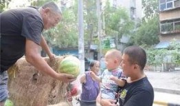 小区吃瓜群众收获,揭秘邻里趣事，共享生活点滴