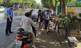 吃瓜群众违规,揭秘网络舆论场的“瓜田李下”