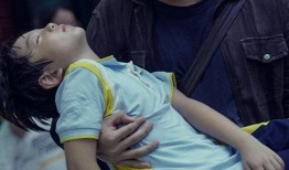 陈思诚误杀吃瓜群众,吃瓜群众热议背后的真相与反思