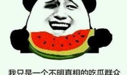 打架时的吃瓜群众是谁啊,围观群众身份大揭秘