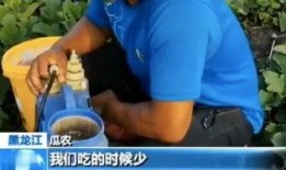 合拍吃瓜群众大集合