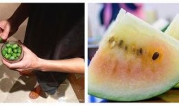 吃瓜群众中国老师,揭秘“吃瓜群众”视角下的中国教育现状