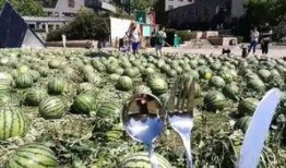 群众吃瓜的创意,揭秘群众吃瓜背后的趣味与智慧