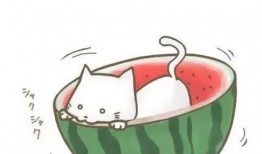 吃瓜群众必备头像,潮流与趣味并存