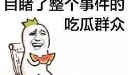 骂街吃瓜群众,吃瓜群众的狂欢与反思