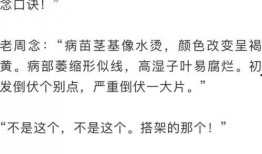 吃瓜群众用餐时间,揭秘日常饮食背后的故事