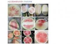 吃瓜群众长沙有吗,吃瓜群众聚集地，热门话题不断