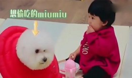 吃瓜群众剪头发视频下载