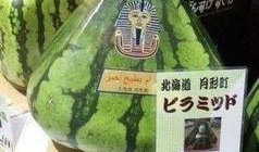 外国学中国吃瓜群众,揭秘他们的好奇与探索