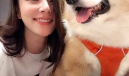 女朋友的吃瓜群众,揭秘吃瓜群众对女友的疯狂追捧