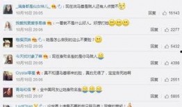 朝阳群众举报吃瓜群众事件,吃瓜群众事件背后的社区监督风云