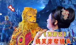 吃瓜群众二级灯,揭秘网络热词背后的文化现象