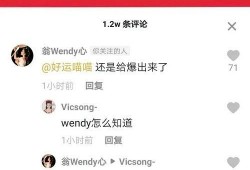 朝阳人民群众吃瓜视频曝光,群众视频曝光揭示社区生活点滴