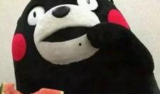 阴阳吃瓜群众,吃瓜群众的热议风云