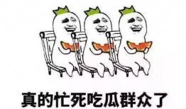 无言吃瓜群众怎么说话的,揭秘“无言吃瓜群众”的言外之意