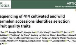 论文吃瓜群众问题,网络舆论场中的角色与影响