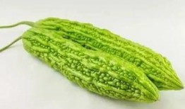 吃瓜群众种植玩具