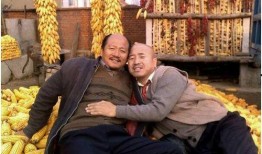 乡村爱情吃瓜群众,吃瓜群众揭秘农村生活的甜蜜与苦涩