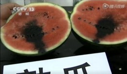 西贝群众吃瓜视频,揭秘网红美食背后的故事