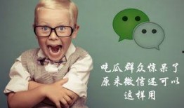 微信吃瓜群众自拍,揭秘网络社交背后的真实生活