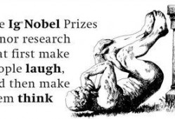 吃瓜群众时评800,800字时评揭示社会现象背后的真相