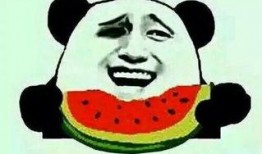 适合群众吃瓜的食物是