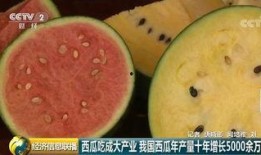 中国最强在线吃瓜群众,揭秘网络舆论场中的“瓜王”传奇