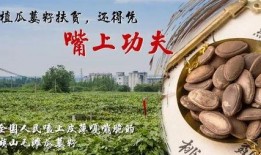 吃瓜群众用餐时间,揭秘日常饮食背后的故事