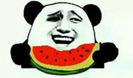 天太热 吃瓜群众,吃瓜群众欢度清凉时光