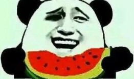 吃瓜群众没有瓜怎么吃