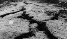 山崩地裂吃瓜群众视频在线观看,吃瓜群众现场直击！