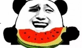 吃瓜群众作文英语